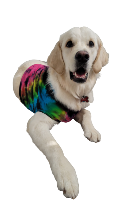 Neon Tie Dye Doggie Tank